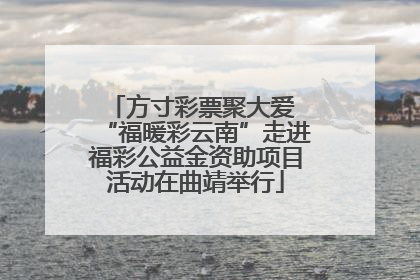 方寸彩票聚大爱 “福暖彩云南”走进福彩公益金资助项目活动在曲靖举行